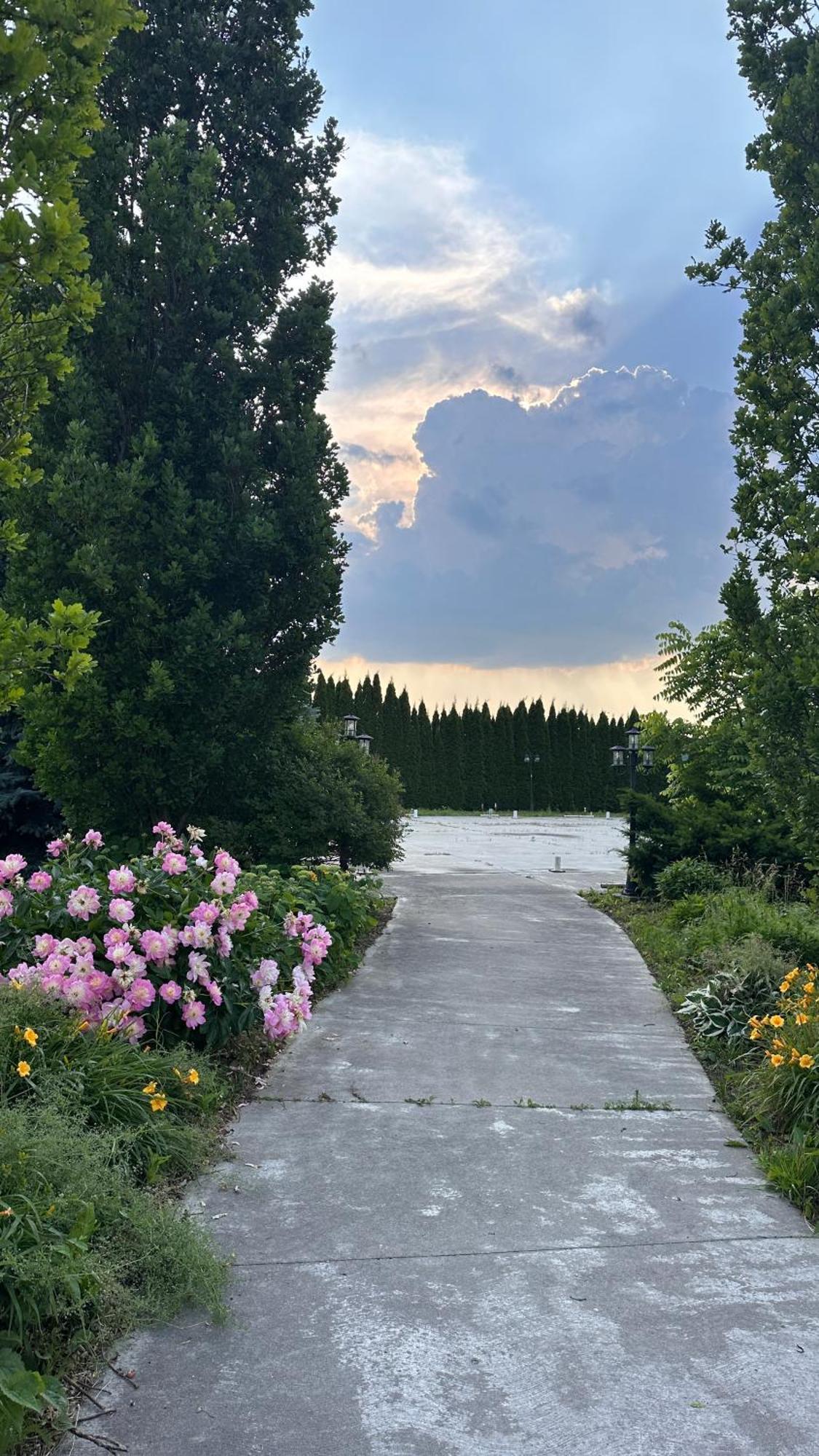 Stone Willow Inn Saint Marys Екстер'єр фото